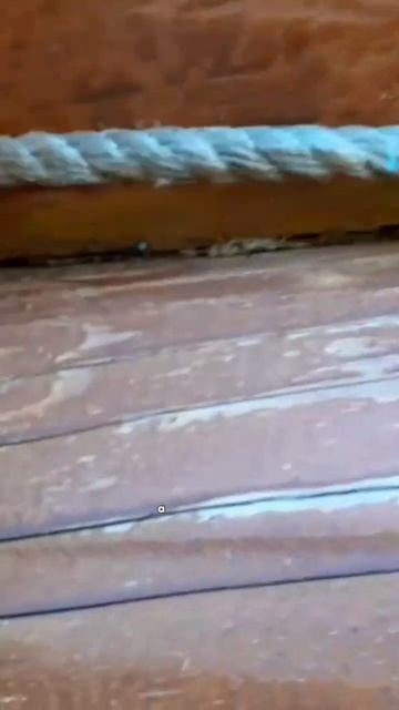 Это кто же додумался прибивать верёвки: ни тепла, ни кр смотреть онлайн