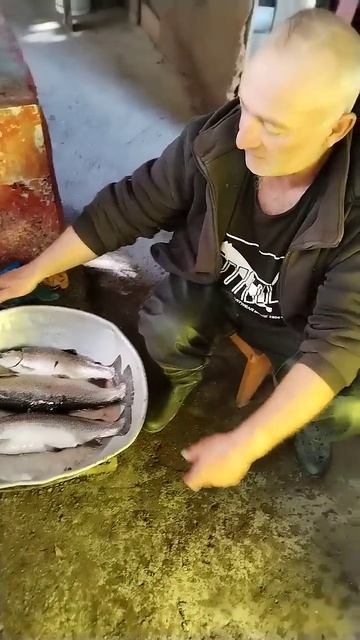 💪💪 #fishing #рыбалка #рыба #форель смотреть онлайн