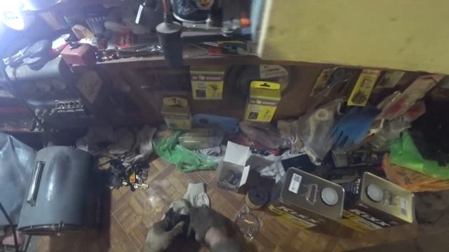 Замена масла и масляного фильтра на BMW E63 смотреть онлайн