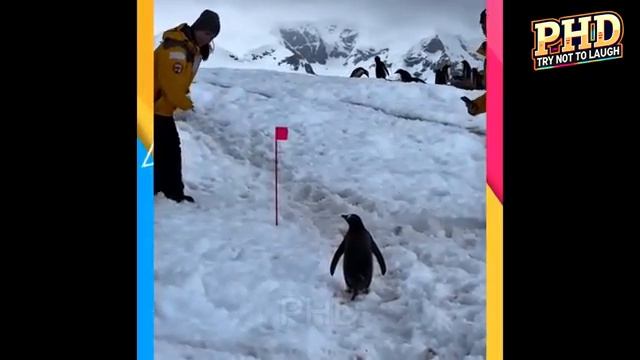 ЛУЧШЕЕ ЗА МЕСЯЦ #2 - Жизнь веселых людей 🤣🤣 ПОПРОБУЙ НЕ РАССМЕЯТЬСЯ
