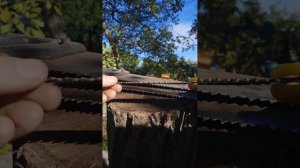 Заточка садовой пилы за МИНУТУ плоскогубцами! Если ру?