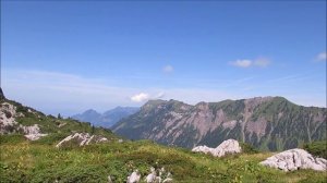 Leitz TRINOVID 8x32B | Binoculars | Fernglas | бинокль