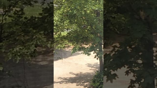 страшные новости