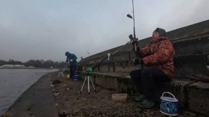 Рыбалка на Фидер в городе .ПИТЕР  10.11.24 #рыбалка #природ?