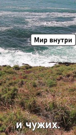 УТРЕННИЙ ЭЛИКСИР ЖЕНСТВЕННОСТИ |Пробуждение богини #shorts #душа