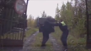 идпс,дед боксёр
