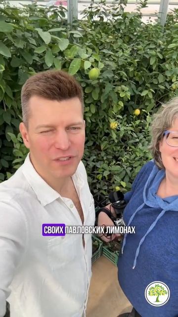 Телеканал «Поехали!» Первыый канал в гостях у Павловс? смотреть онлайн