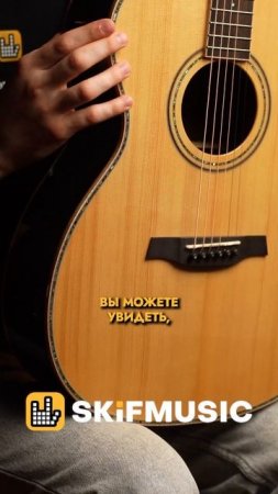 АКУСТИЧЕСКАЯ ГИТАРА PARKWOOD P820ADK | SKIFMUSIC.RU