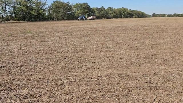 Старт посева пшеницы. No-till 20.09.2024 смотреть онлайн