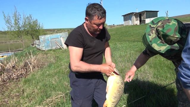 Монтаж Болонской снасти. Виталя Карпятник. Alex Pro смотреть онлайн