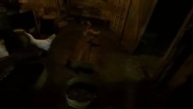 Дела в деревне... Ослик, посадка деревьев, работа с г@#но смотреть онлайн