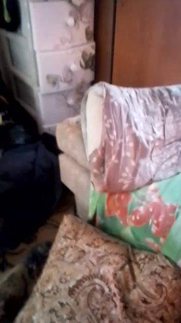 я не поня то что у меня есть блок фрукт призрак👻 смотреть онлайн