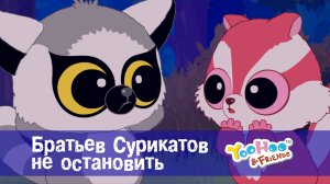 Юху и его друзья, 1 сезон, 17 серия. Братьев Cурикатов не остановить