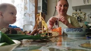КУПИЛА ТЕПЛИЦУ👏 ВЕЧЕР В ОГОРОДЕ.