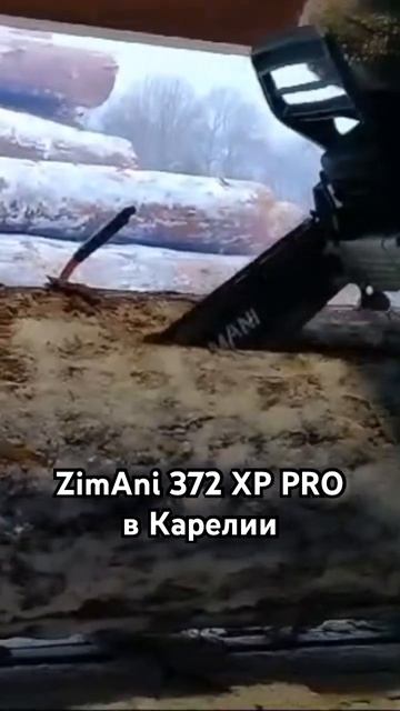 ZimAni 372 XP PRO в Карелии. Надёжно работает💪#zimani #372xp #бензо? смотреть онлайн