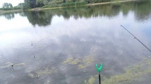 Это Клёво !
