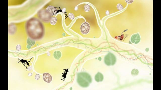 Botanicula | Полное прохождение смотреть онлайн