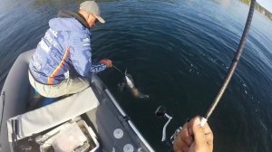 ЛОВЛЯ ЖЕЛТОПЕРОГО ТУНЦА ВО ВЛАДИВОСТОКЕ