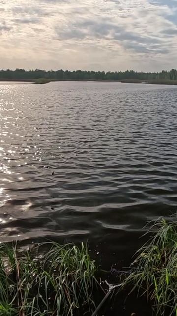 Крупняк подошел!