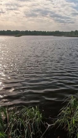 Крупняк подошел!