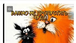 Как не пропустить ЧУДО - Притча
