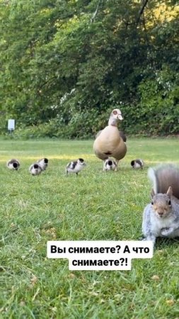 Ну, извините