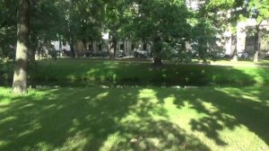 ПРОГУЛКА ПО ТАВРИЧЕСКОМУ САДУ В САНКТ-ПЕРЕРБУРГЕ