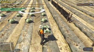 КАК РАБОТАТЬ НА ФЕРМЕ И СОБИРАТЬ КАПУСТУ В GTA 5 RP? САМАЯ