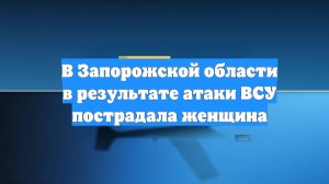 В Запорожской области в результате атаки ВСУ пострадала женщина