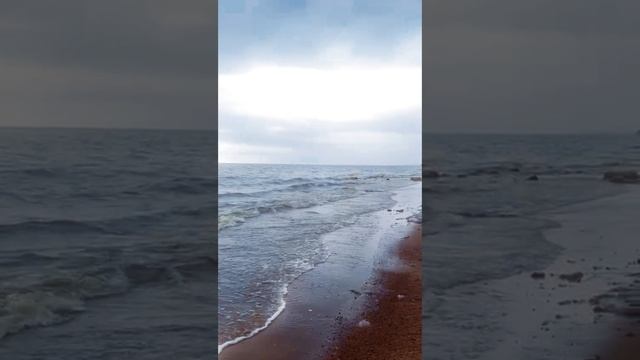 🌊 Берег Финского залива в Репино в начале лета