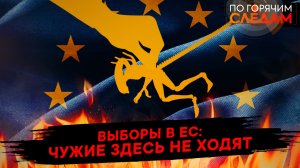 Выборы в ЕС: чужие здесь не ходят