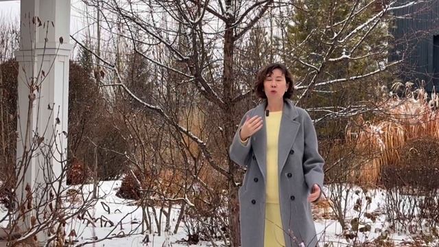 Сад - сказка на Новый Год