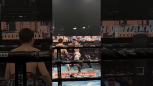 Лучшие нокауты Подпишись и ставь лайк #ufc #mma #youtube #sports #tiktok #shortsvideo #russia #box