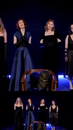 Обычный кот, ненужный кот… #мюзикл #котвсапогах #песня #клип2025 #клип #musical