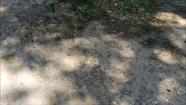 Поиск монет без металлоискателя 120 смотреть онлайн