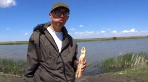 Летняя рыбалка на спиннинг! Открытие сезона 2025г.River fishi