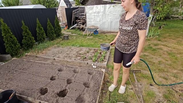 Живём как В ДЕРЕВНЕ!  Домашнее ХОЗЯЙСТВО прибавило хлопот а В ТЕПЛИЦЕ уже есть первые посадки