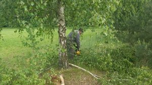 Champion 125t на обрезке веток. Первые деньги уже заработаны