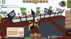 ~{проверка магазина}~остров диких лошадей 🐴