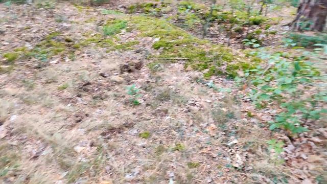 ✅🔥ВЗРЫВАЮ ПЕТАРДЫ 💣 БОЛЬШОЙ ТОП ПЕТАРД 🔴 СРАВНЕНИ? смотреть онлайн