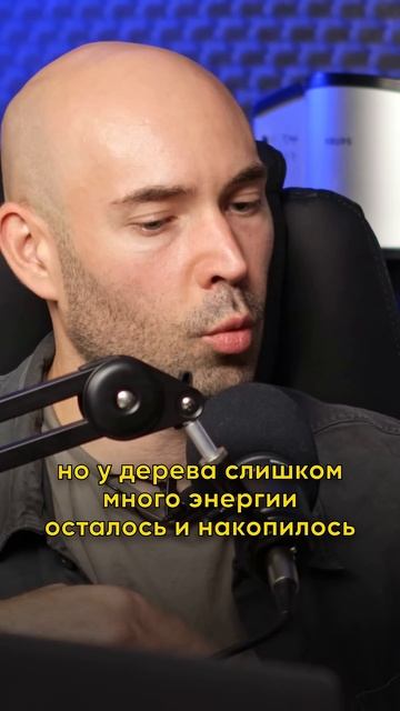 Урожай кофе - КРУГЛЫЙ ГОД. Особенности кофейного ферме смотреть онлайн