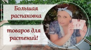 Большая распаковка товаров для растений.