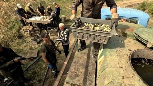 ВДАЛИЙ ЗАРИБОК ВОДОЙМИ КАРПОМ АМУРОМ смотреть онлайн