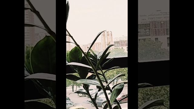 Шопинг и ужин  в XL  05.06.2025 г. Москва.