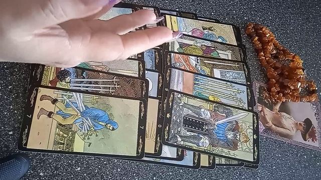 VID_20250605_140654.mp4