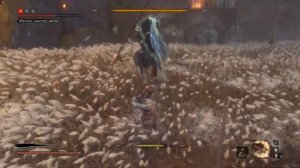 Sekiro. Финальный бой. Ганитиро и Иссин.