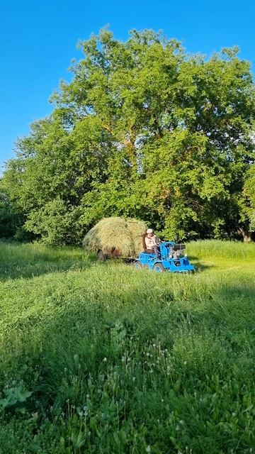 ДЕРЕВЕНСКИЕ дела перевозка сена самодельный минитрак смотреть онлайн