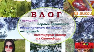 ВЛОГ.Прогулка.Покупки.На природе.Отзыв на товар из Светофора