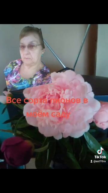 для ароматного #сада #пионы многолетние #цветы без про? смотреть онлайн