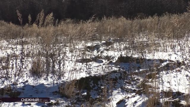 У жительницы микрорайона Снежный в Магадане украли пл смотреть онлайн